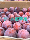 山梨県産完熟すもも【太陽】　　　訳あり商品あり！クール便