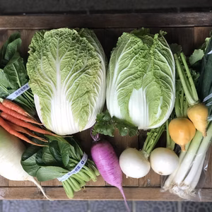 京の冬野菜セット10品目【漢方栽培】