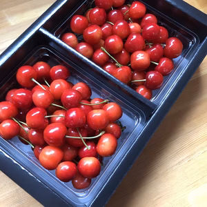 ご家庭用さくらんぼ、たっぷり１キロ！