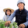【自然栽培】旬のおまかせ野菜セット｜5～６品目★農薬・肥料不使用