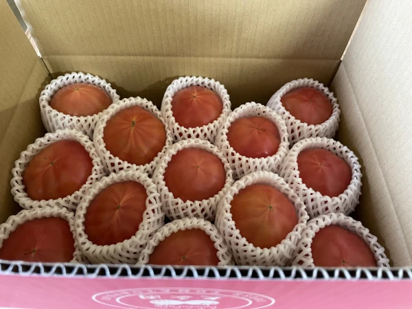 ずっしり！旨い！完熟もぎたて桃太郎トマト♡食べたらトリコ