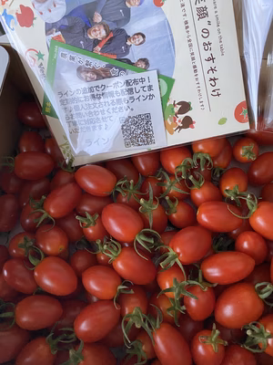 みんなの投稿の画像