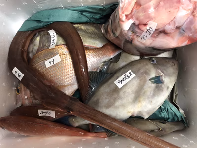 みんなの投稿の画像