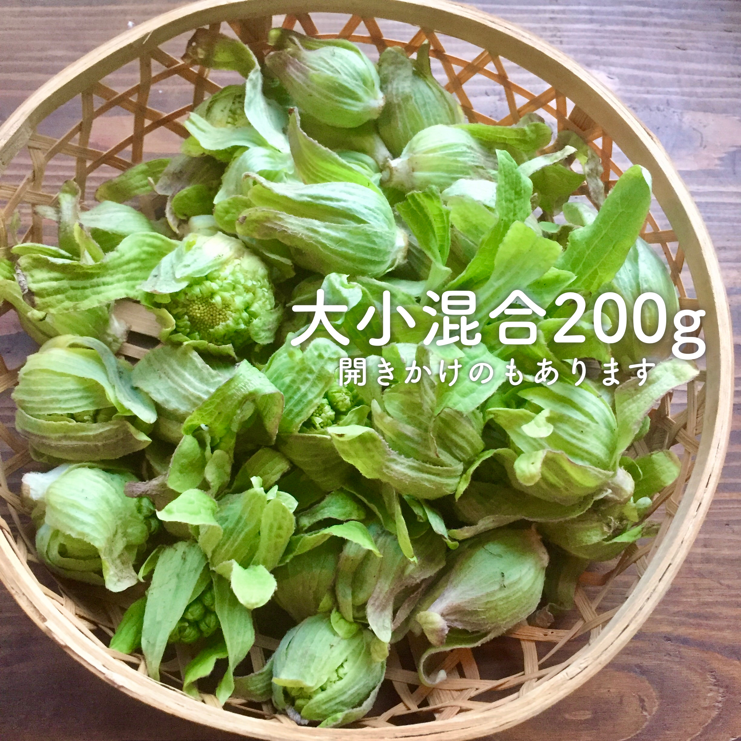 新鮮ふきのとう200g ② - 野菜