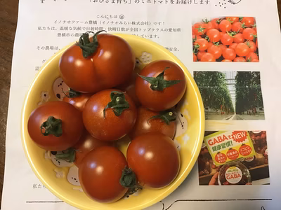 みんなの投稿の画像