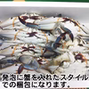 2kg～ 急速冷凍訳ありワタリガニ オスメス混合 ガザミ 渡り蟹 活蟹 活カニ