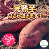 〇 ６か月間熟成しました 〇  完熟芋 5kg 農薬不使用 紅はるか 5kg