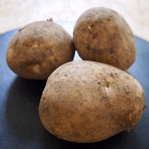 【Sサイズ】ポテサラ好き、お子さんとのクッキングに最適な新じゃが「さやか」