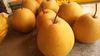 とっとり産☆王秋梨３ｋｇ(6～8玉入り)