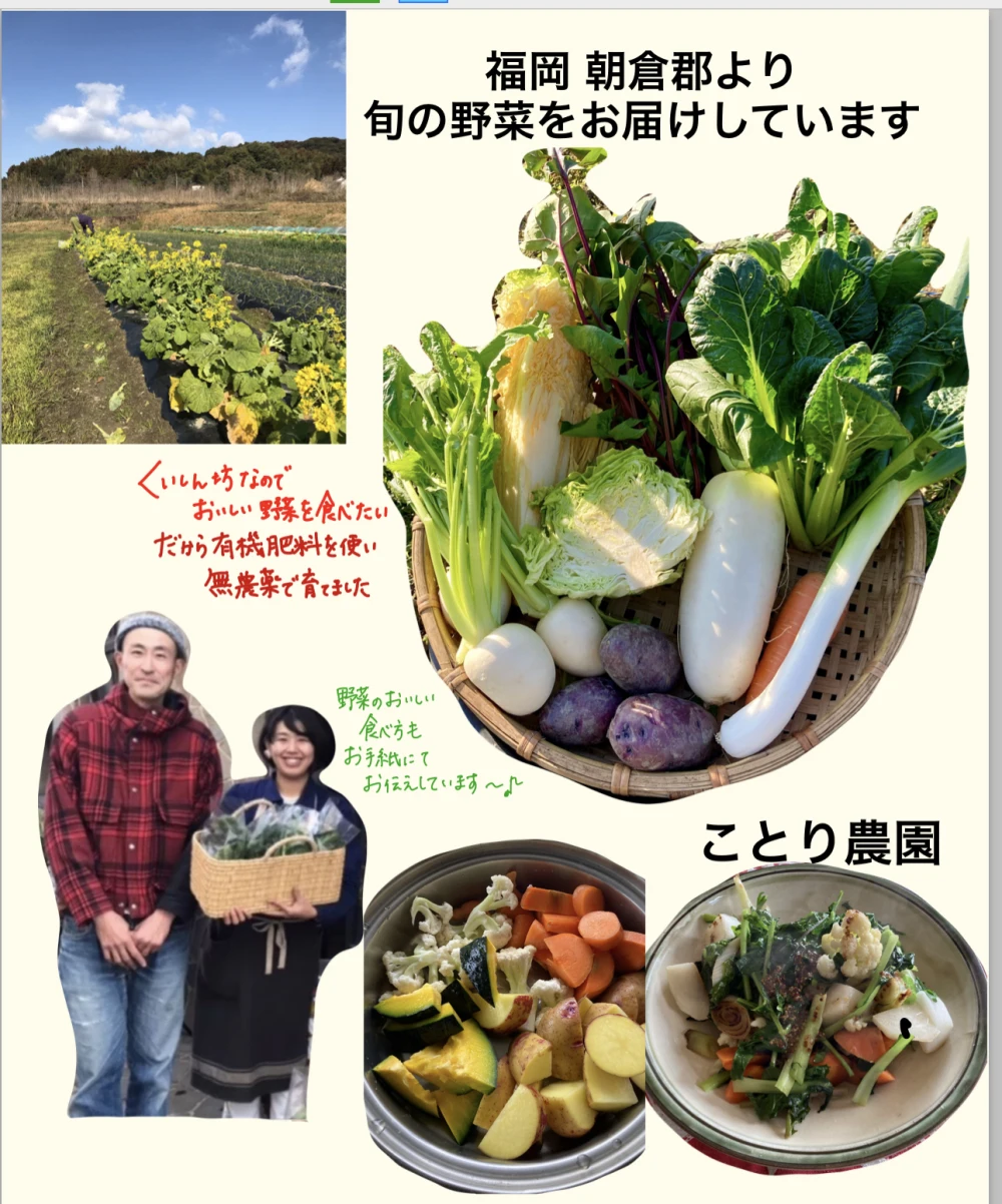 季節の無農薬野菜セット(福岡より)