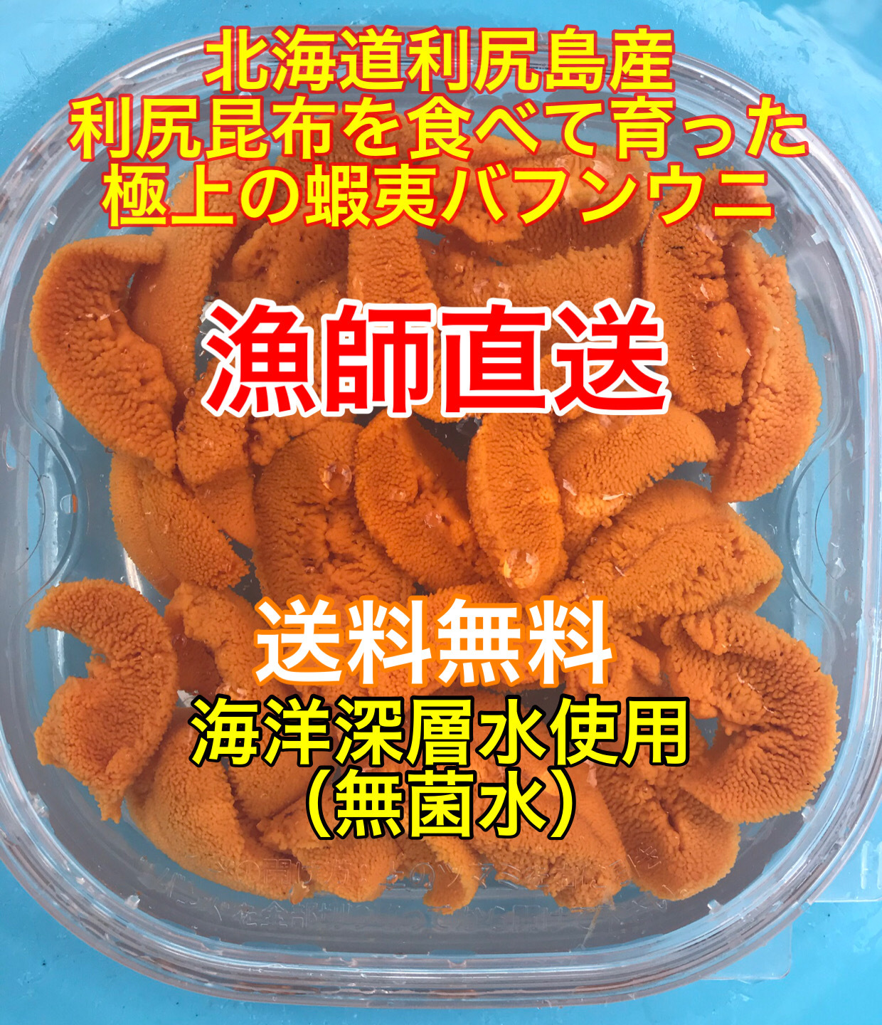 送料無料 蝦夷バフンウニ 北海道利尻島産 100g入れ 農家漁師から産地直送の通販 ポケットマルシェ