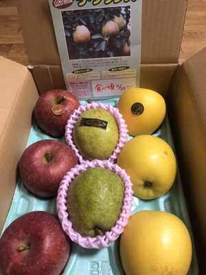 みんなの投稿の画像