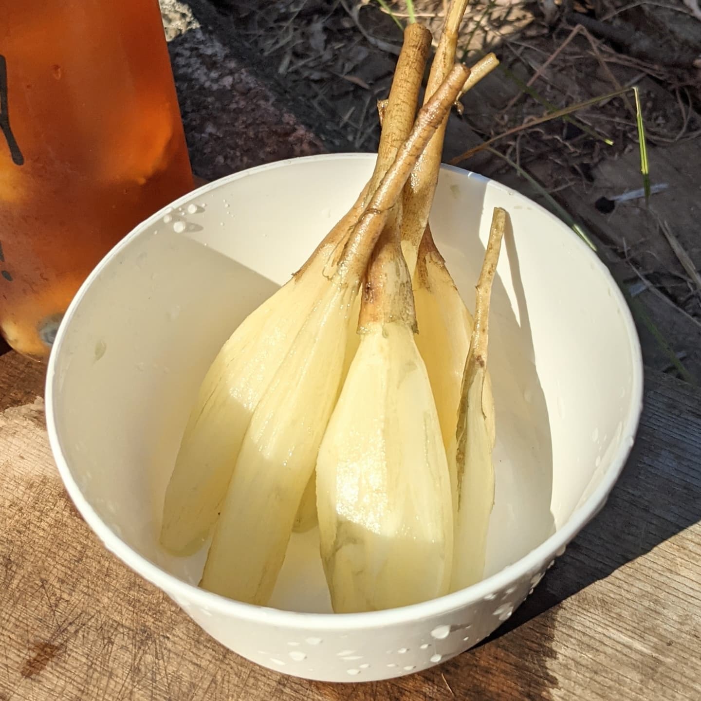 菊芋 無農薬 約5kg 神奈川県産 自然栽培 健康野菜 スーパーフード