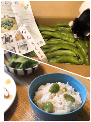 みんなの投稿の画像