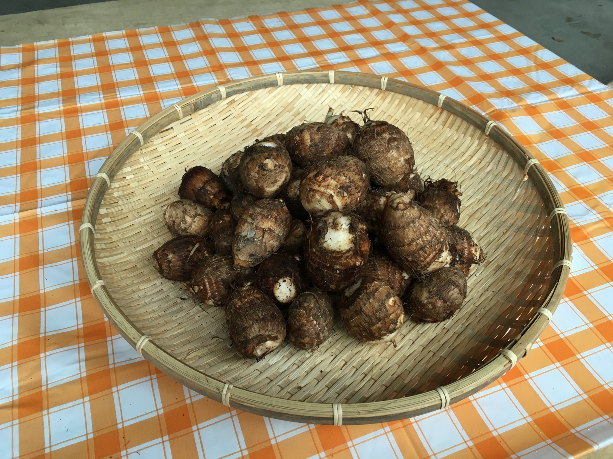 里芋 白芽芋 孫芋 子芋 M Lサイズ 農家漁師から産地直送の通販 ポケットマルシェ