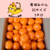 愛情たっぷりで育った有田みかん★温州みかん　寄贈用　2Sサイズ　約5キロ