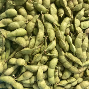 有機JAS＆無肥料自然栽培　丹波黒枝豆　ラスト１箱