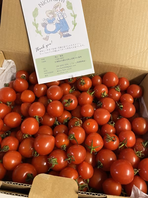 みんなの投稿の画像