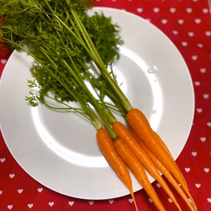 うさぎも恋するベビーキャロット