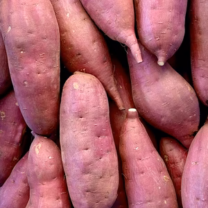 まるで芋羊羹！甘くねっとり‼︎「紅はるか」Lサイズ　5キロ箱