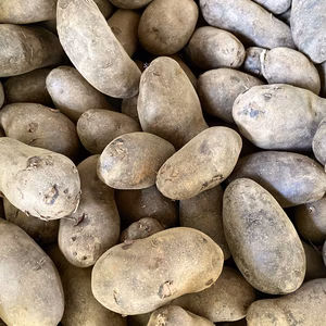 じゃがいも(シャドークイーン)3kg