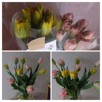 みんなの投稿の画像