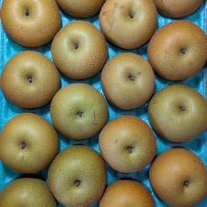 豊水18玉5kg