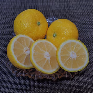 ゆず　柚子はどうでしょう。果汁たっぷり「多田錦」　全国一律送料ですぐにお届け