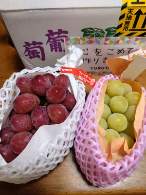 みんなの投稿の画像