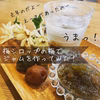 【本州四国送料無料】採れたて新鮮白加賀梅 1kg 2kg 3k