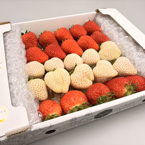 紅白3種いちご【紅ほっぺ×天使のいちご×おまけ1品種 サイズ混合セット】800g