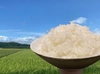 農薬・化学肥料不使用　R4年産『コシヒカリ』白米5㎏【有機JAS認証】
