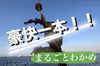 2022年豪快一本！まるごと生わかめ(めかぶ付き) 東京湾猿島わかめ