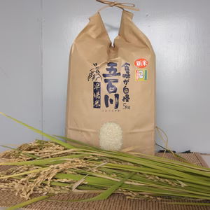 令和7年産　新米　五百川精米5㎏　減農薬栽培