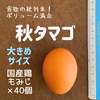 食欲の秋到来‼　ボリューム満点　秋タマゴ×40個‼