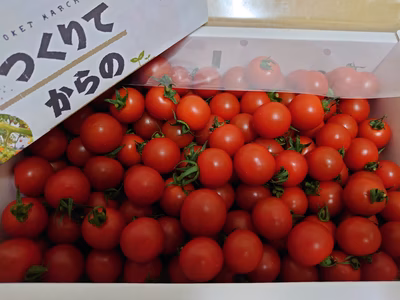 みんなの投稿の画像