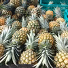 大容量！沖縄県産スナックパイン！12kg！