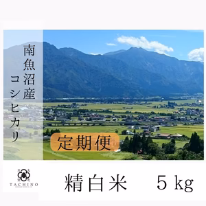 【定期購入・毎月１回】令和３年　南魚沼産コシヒカリ 精白米5kg