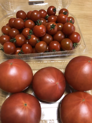 みんなの投稿の画像