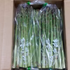 秋田県産　朝採りアスパラ　Lサイズ　500g