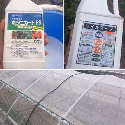 みんなの投稿の画像