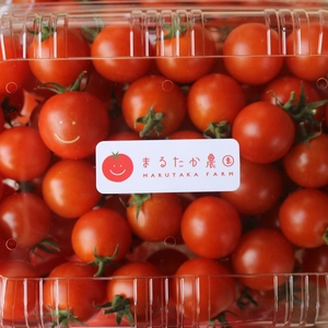 遠州浜松都田まるたかミニトマト