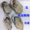 【20％OFF中】急速冷凍 生食用牡蠣★1-13kg 殻付き牡蠣 松島牡蠣屋