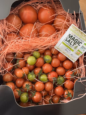 みんなの投稿の画像