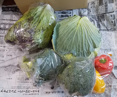 みんなの投稿の画像