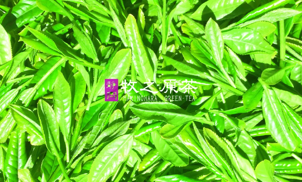 香り緑茶【花のような甘い香り】『花ここち』リーフ 30ｇ