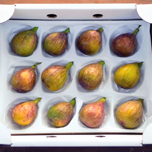 【ギフト用！】にほんの里100選で栽培！濃厚な白イチジク12個