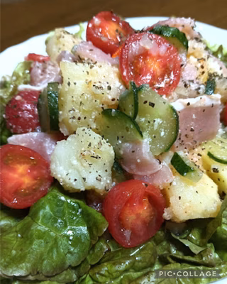 みんなの投稿の画像