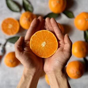 【発送開始】せとか (2kg)【とろける果肉と濃厚果汁】