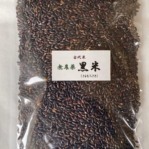 送料無料 令和6年産 黒米 さよむらさき 古代米 無農薬 メール便